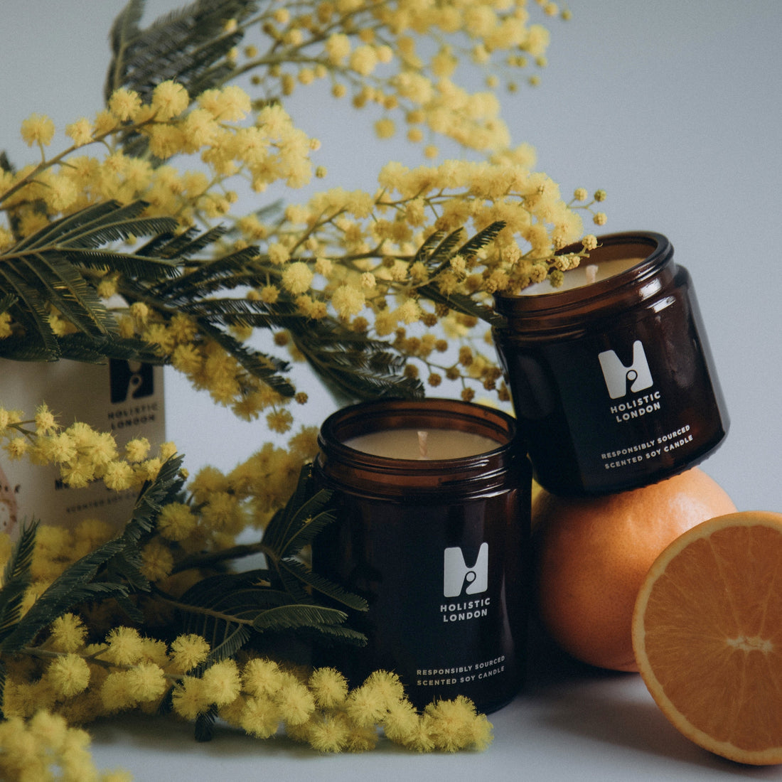 Our Scents, Improved.