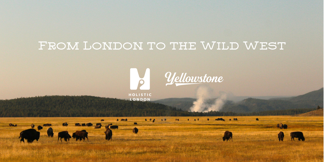 From London to the Wild West: Yellowstone-curated Home Fragrances