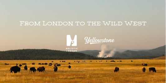 From London to the Wild West: Yellowstone-curated Home Fragrances