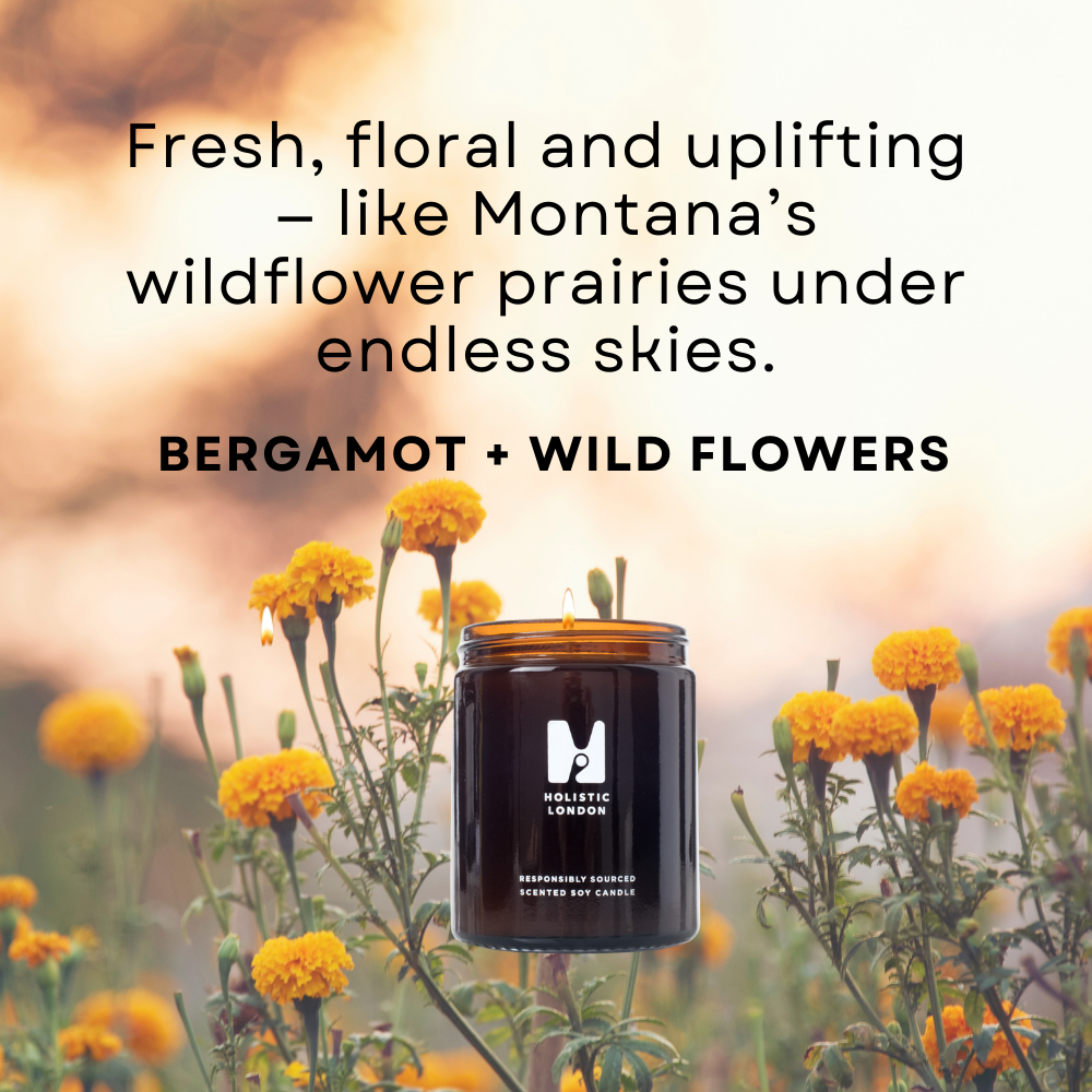 THE WILD OUTDOORS COLLECTION