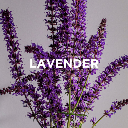 LAVENDER + PATCHOULI SCENTED CANDLE