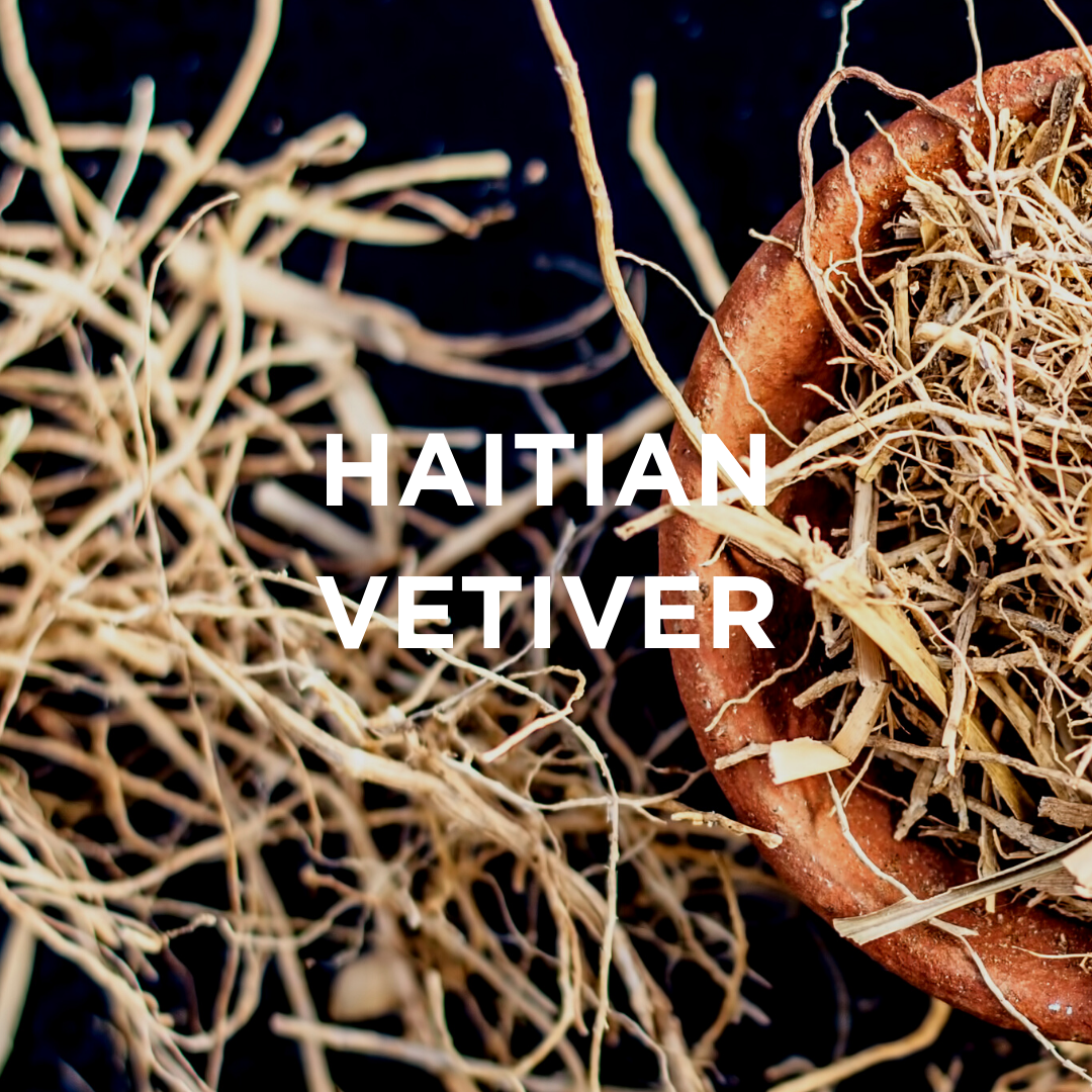 HAITIAN VETIVER + BERRIES SCENTED CANDLE