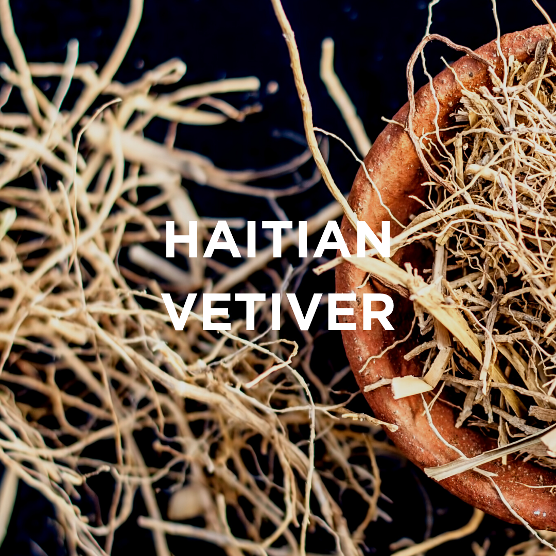 
                  
                    HAITIAN VETIVER + BERRIES SCENTED CANDLE
                  
                