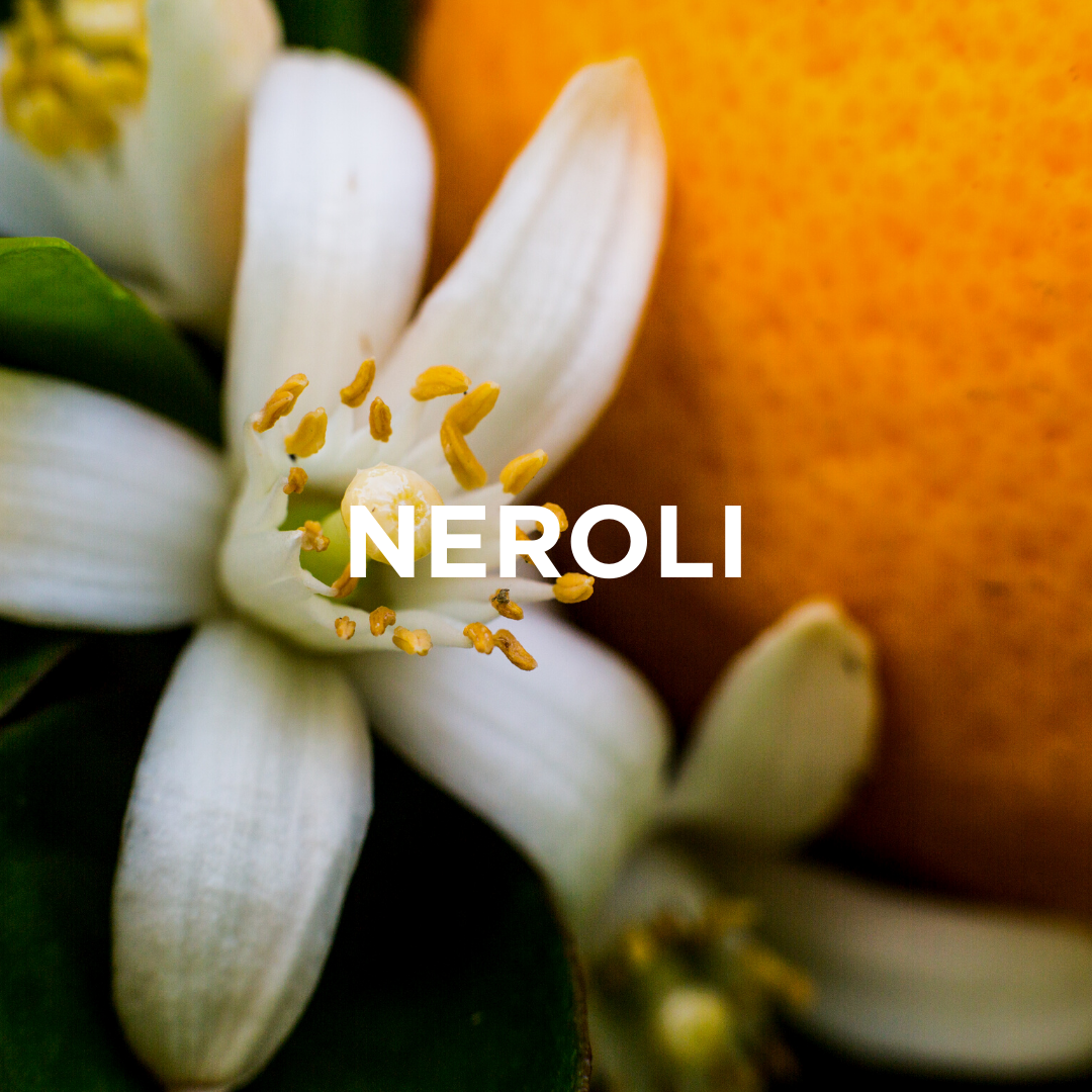 NEROLI + CHAMOMILE SCENTED CANDLE