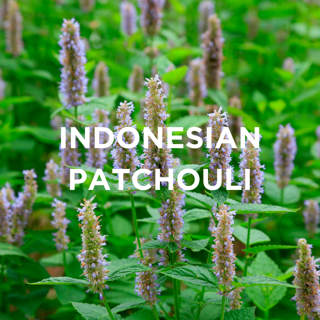 INDONESIAN PATCHOULI + CLARY SAGE SCENTED CANDLE